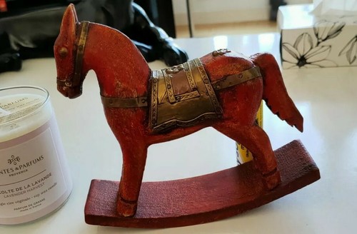 Magnifique petit cheval - magnifique, en